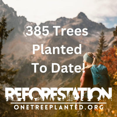 One Tree Compact Folding Camping Chair